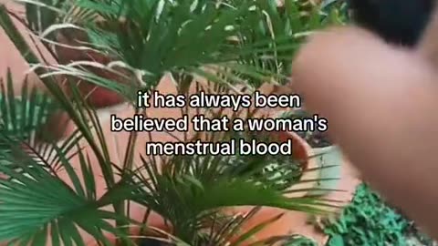 MENSTRUAL BLOOD