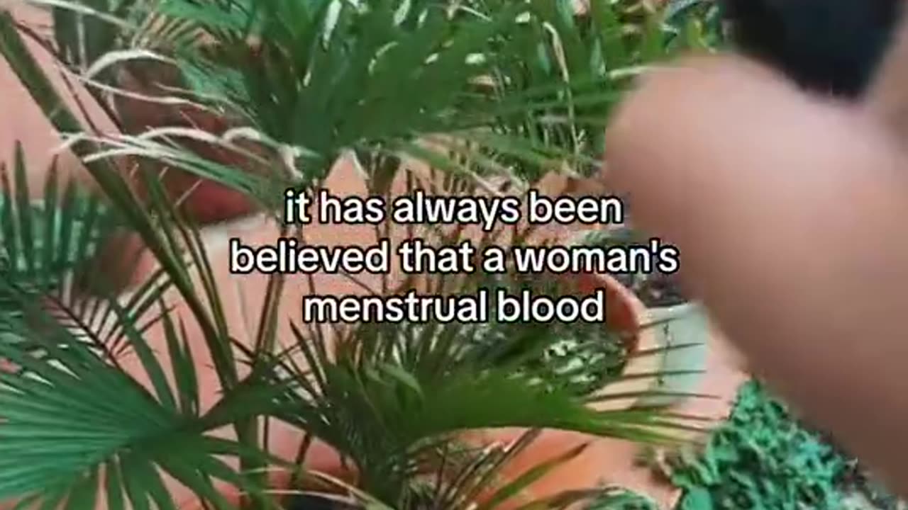 MENSTRUAL BLOOD