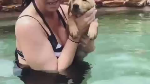 A day when dogs learn to swim; Very brave