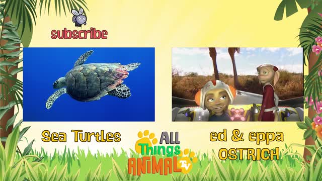 * MONKEY * | Animals For Kids | All Things Animal TV Duration: 06:40 minutes