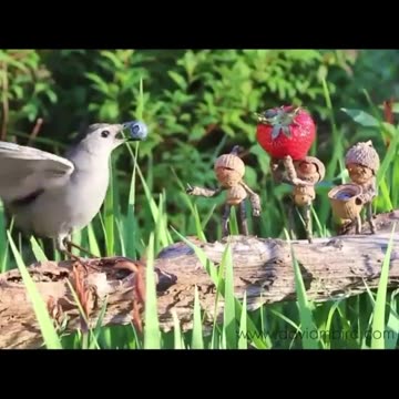 News Break: This is amazing.