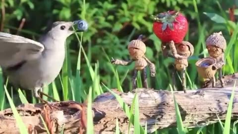 News Break: This is amazing.