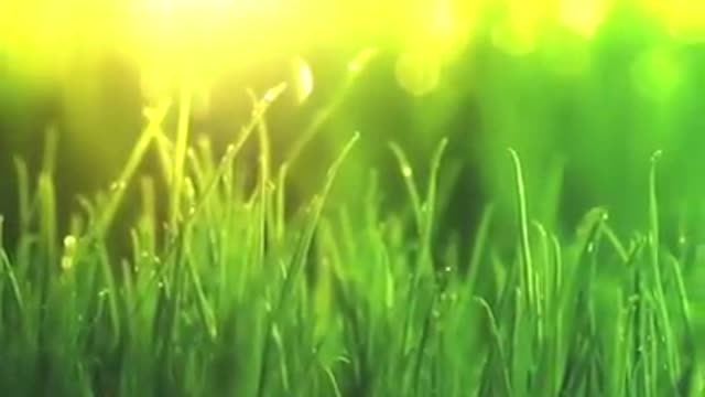 Time with God - August 15