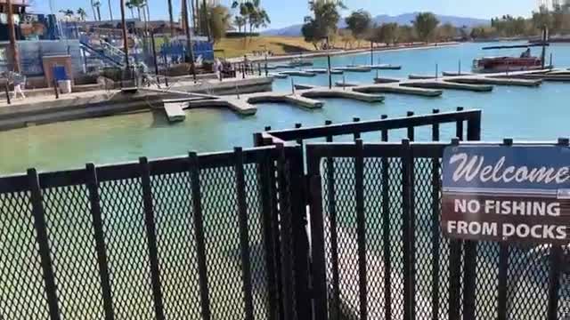 An Intactivist Demonstration By London Bridge in Lake Havasu, Arizona