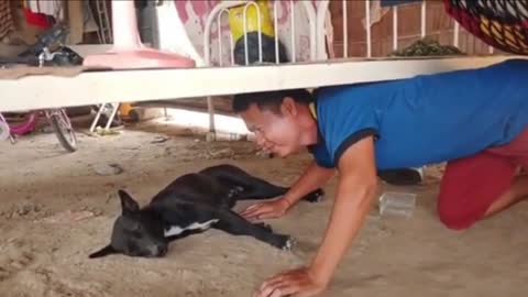 Watch this, Crazy man try to prank the dog funny ending