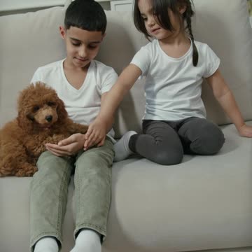 Kids playing with cute Puppy