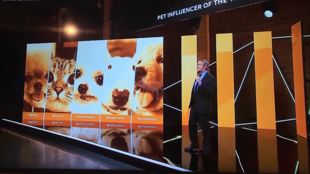 Tucker Budzyn wins the Pets American Influencer Award!