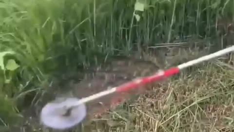 Modern grass cutting machine Techshahin24