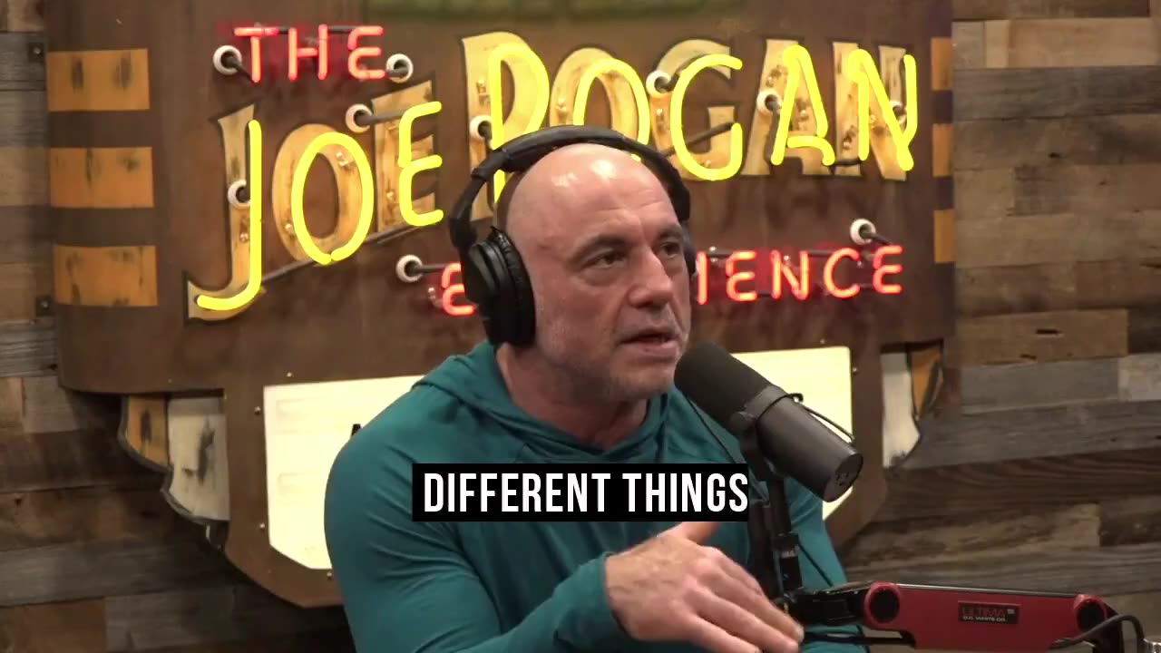 Joe Rogan: "The unfortunate thing is that there is evil; That evil makes you appreciate love"