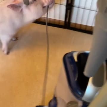 Stop making all that noise Human