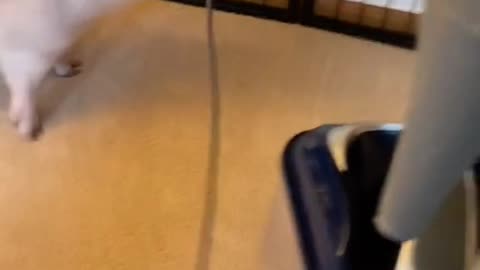 Stop making all that noise Human