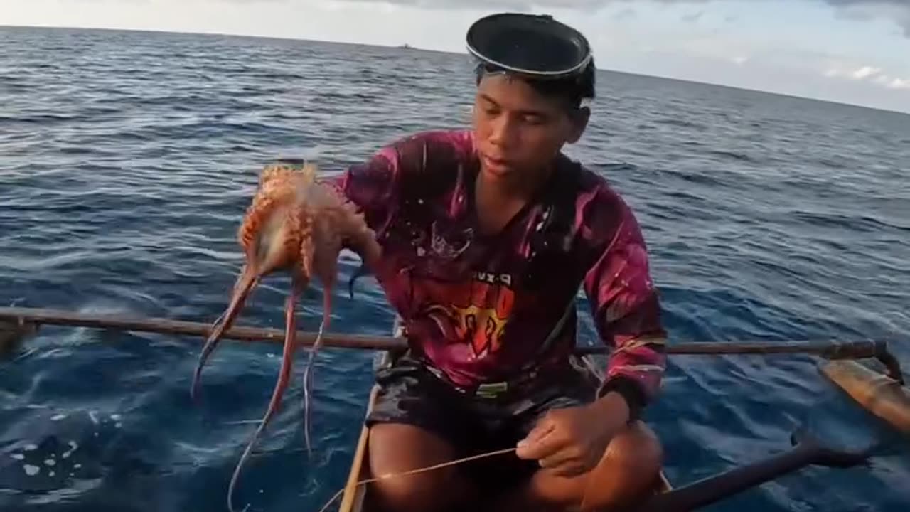 Catched big Squid