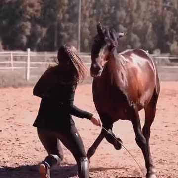 Beautiful Girl Playing with Horse