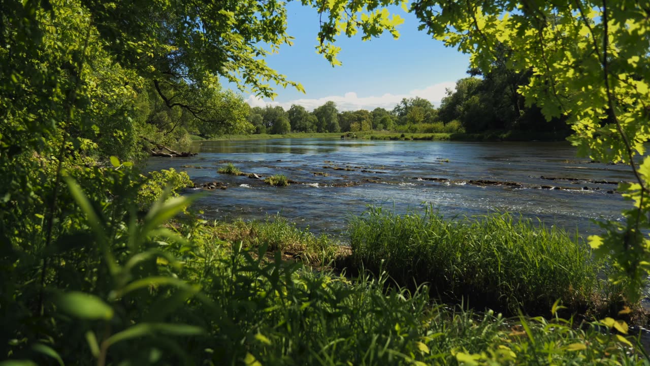 15 minute MEDITATION - RELAX and listen to sounds of the river, wind and birds (ASMR river, birds)