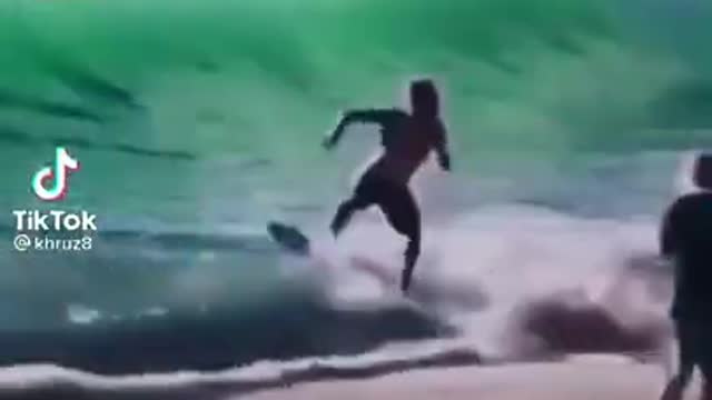 SHARK