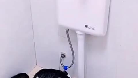https://youtu.be/9XXHt5c_7SA