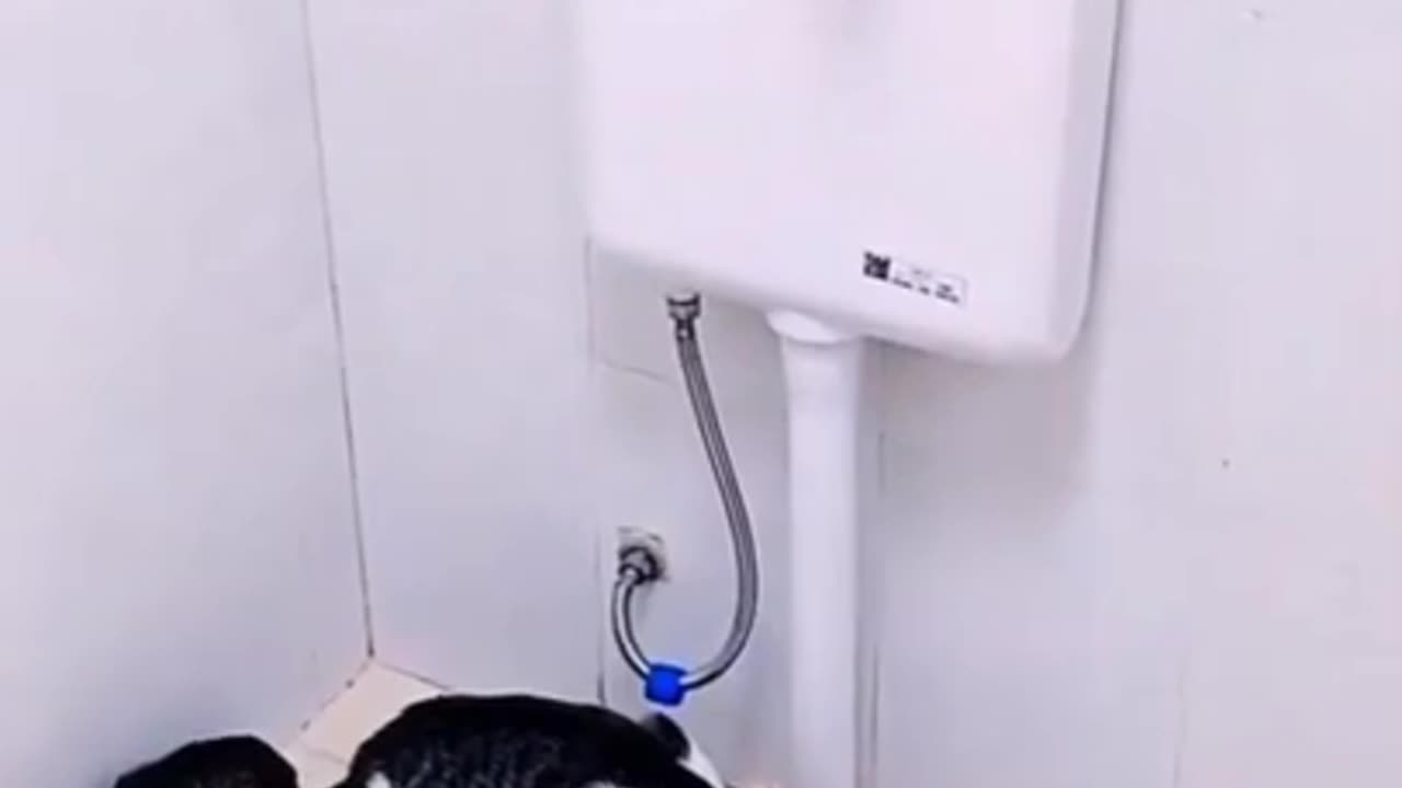 https://youtu.be/9XXHt5c_7SA