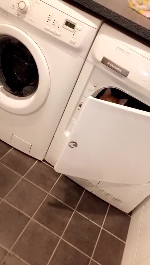 Playing with my cat#