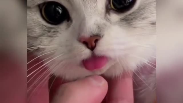 kawaii