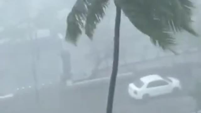 Strong Winds And Rainfall Make Trees Swing As Cyclone Hits Indian State
