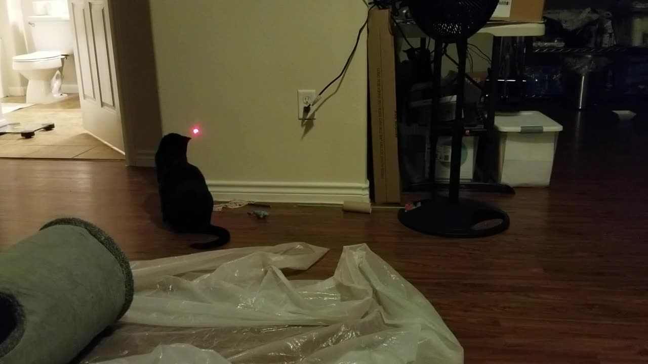 20241019 215018 Tux Laser Toy Dot-Chasing