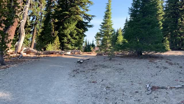 Central Oregon - Trailside Glimpses of South Sister Mountain