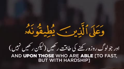 Learn daily quran