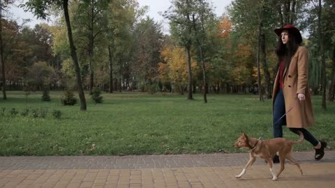 Woman taking a stroll with dog in autumn park