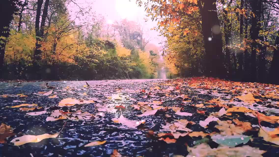 Relaxing rain storm sound for sleeping