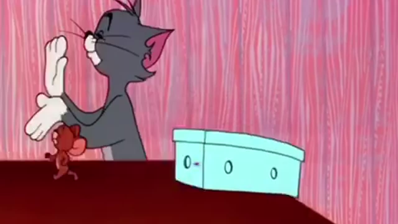 Tom and Jerry Cartoons