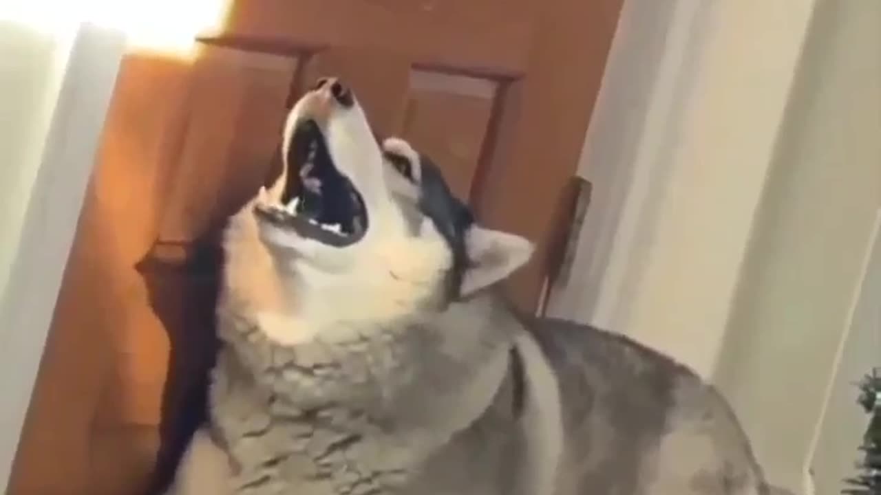 Try to sing