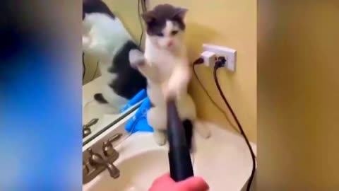 Best Funny Animal Videos Of The 2023 🤣 - Funniest Cats And Dogs Videos 😺😍