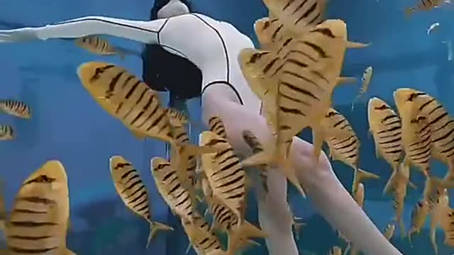 Have you ever seen such a fish?