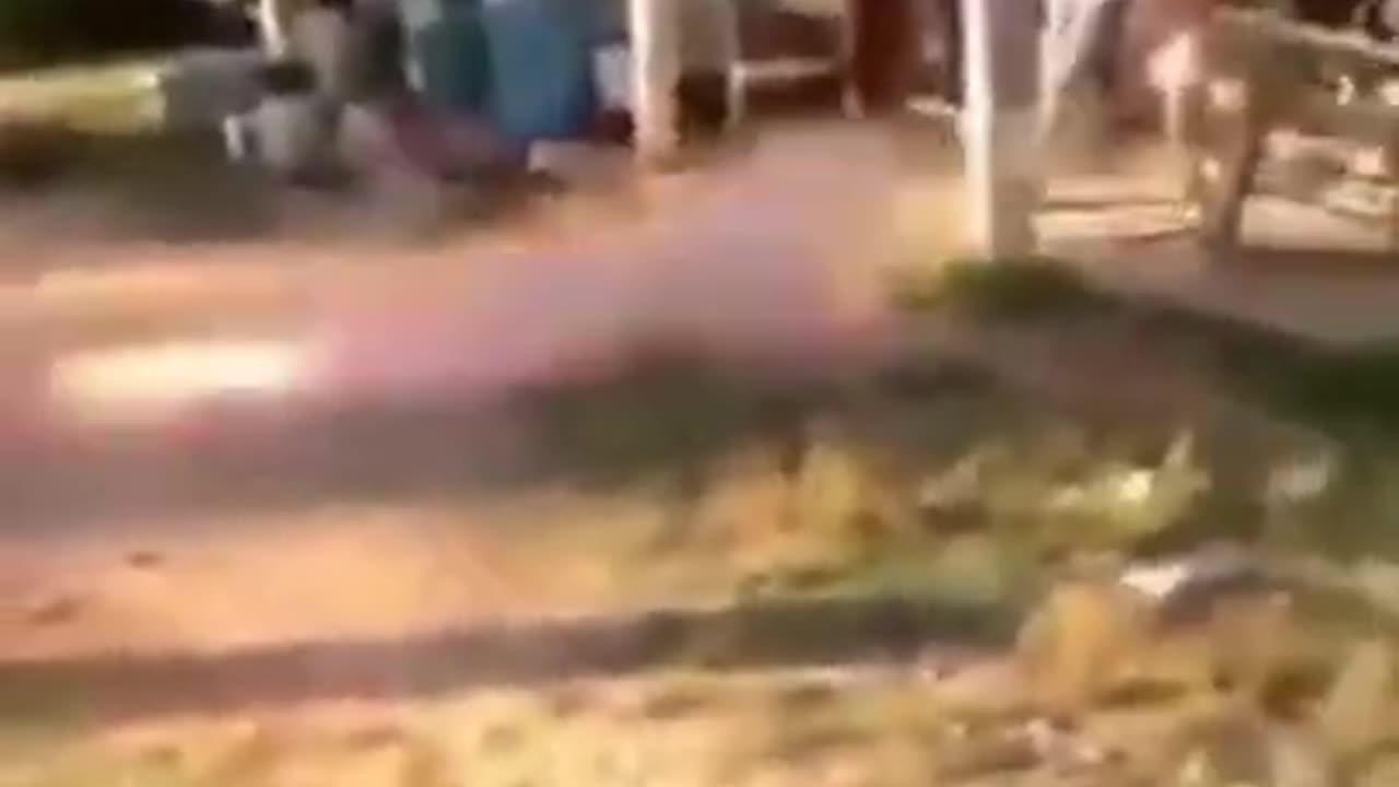 Try not to laugh