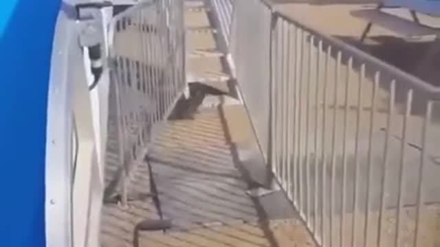 Uiiii