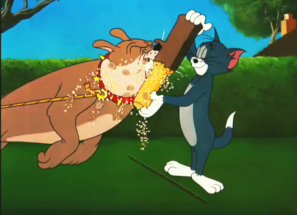 Funny Tom and Jerry cartoon videos, cartoon funny Video, kid's cartoon funny Video