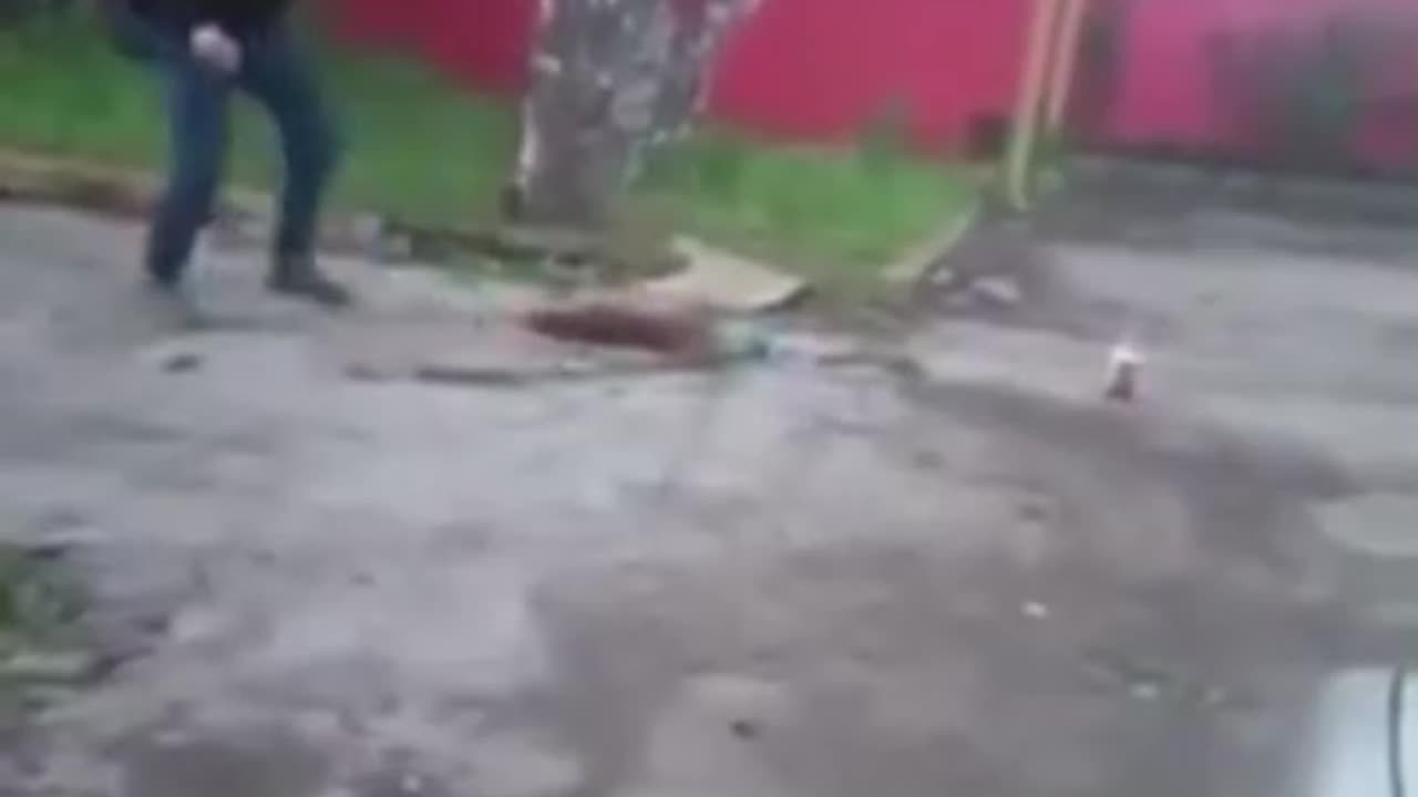 Buh / the end - funny fails 😂 TRY NOT TO LAUGH #funny #funnyfails #funnyvideo #humor #fails