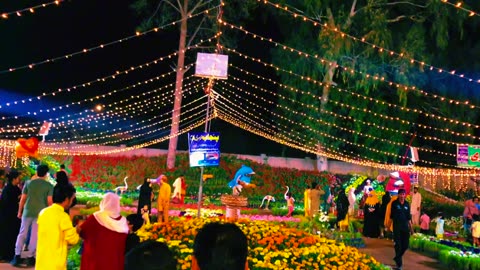 Capturing the vibrant hues and enchanting blooms at the Flora Festival 2024, Pha Sargodha! 🌺✨