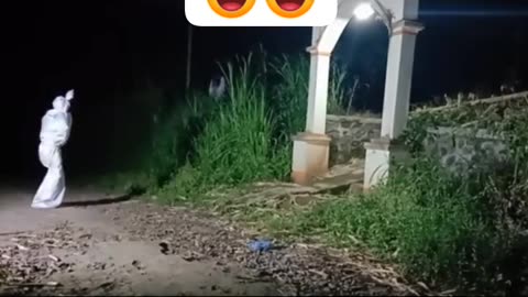 Funny videos trending top 1 2023