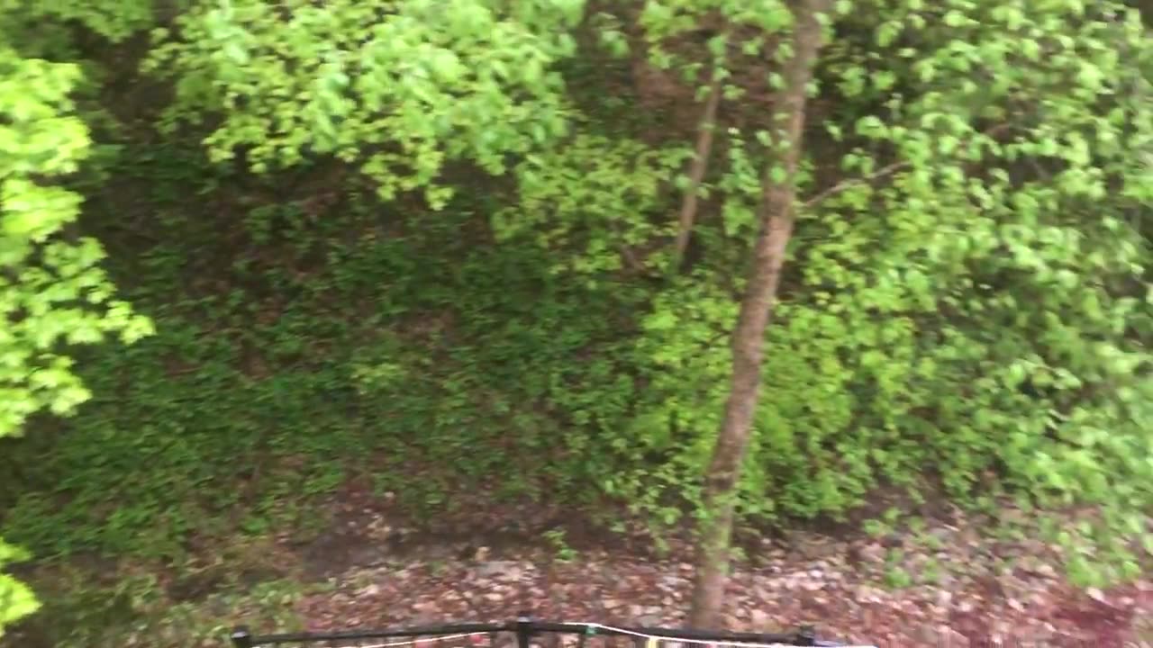 May 14, 2020 - A Rainy Morning