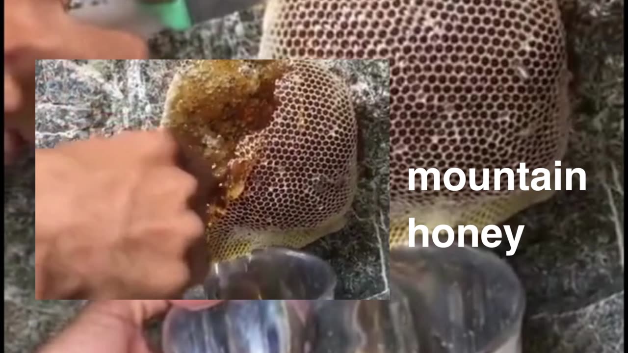 mountain honey