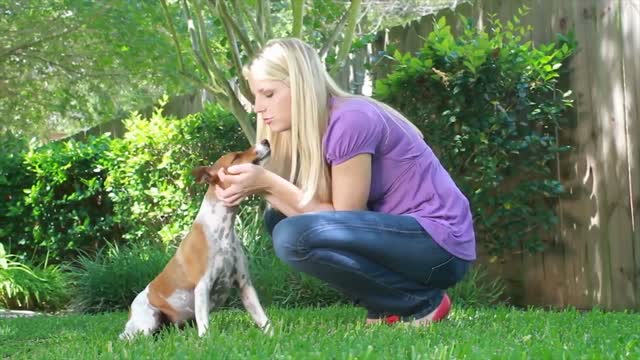 Top 10 signs your dog is happy or sad with you.