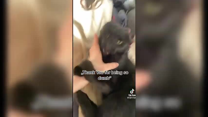 Funny Tik Tok I Watch Under My Bed 😂🛏️