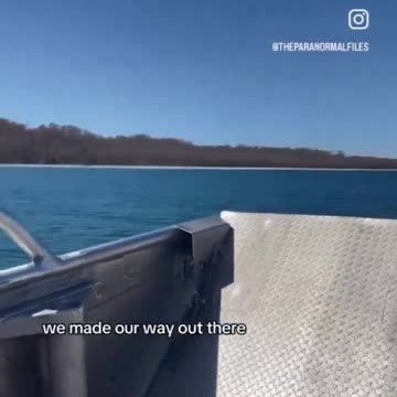 Pedophiles Everywhere