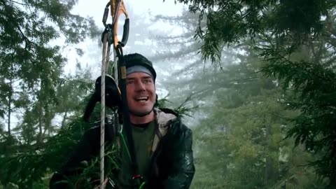 The 4G Zombie Apocalypse - Nature Deficit Disorder - "Look Up"