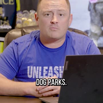 Akita and Dalmatian Were Seconds Away From a Dog Fight