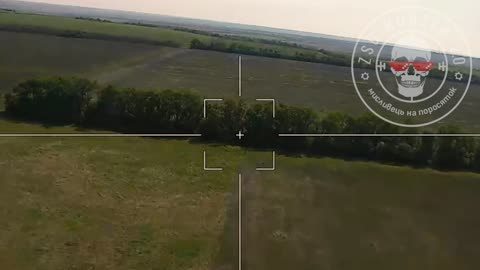 Russian Lancet Drone Destroys an AFU Gvozdika Howitzer