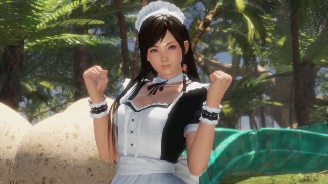 Dead or Alive6 Battle30