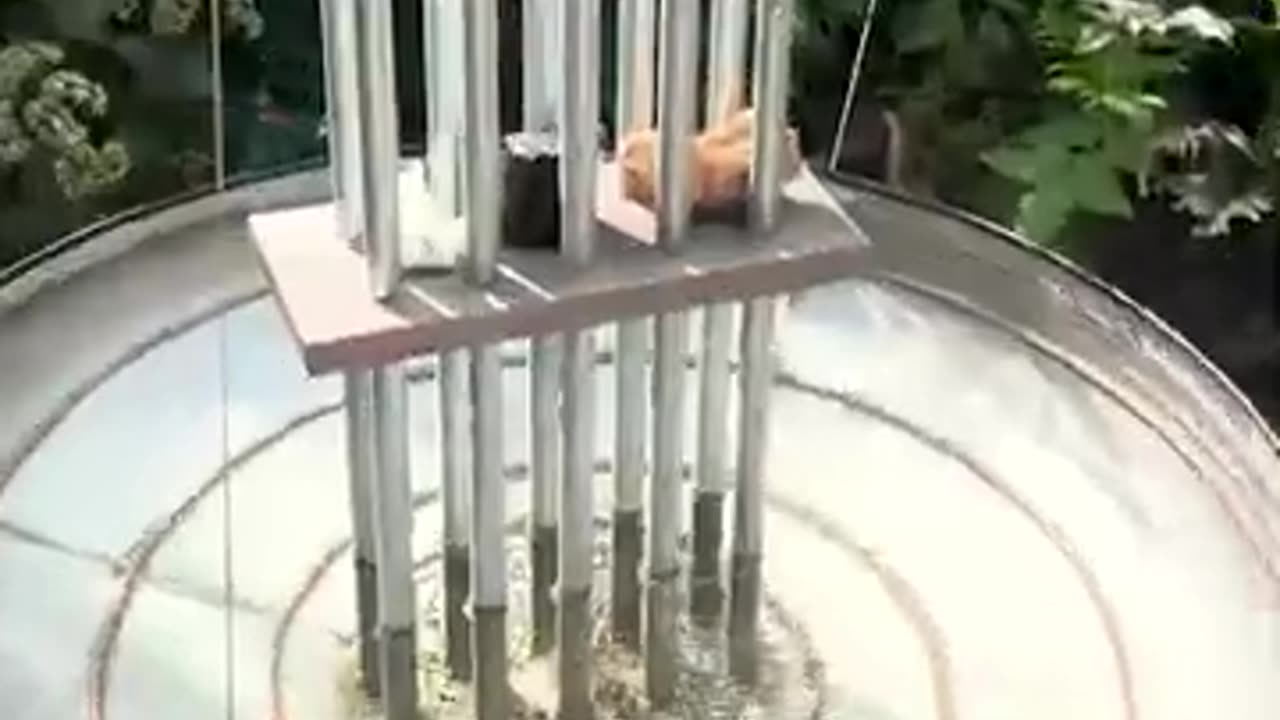 Was macht eigentlich eine Mini-SHA? 🌱🌍