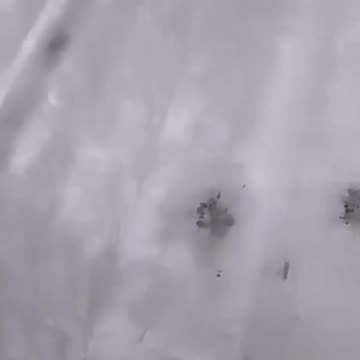 Mortar Shell Obliterates Orcs